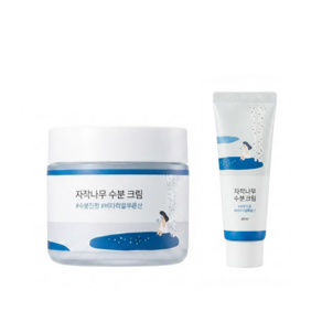 라운드랩 자작나무 수분 크림
