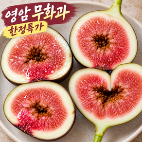 [한정수량] 당일수확 국내산 영암 생무화과