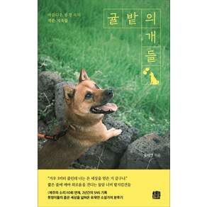 [호밀밭]귤밭의 개들: 아름다운 풍경 속의 작은 지옥들