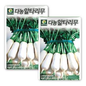 다농 알타리무 씨앗 1200p