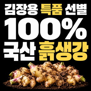 국산 생강 국내산 흙생강 특품 김장 흑생강