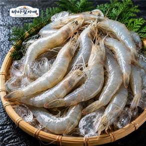 [산지직송] 국내산 흰다리새우 국산 생새우 싱싱