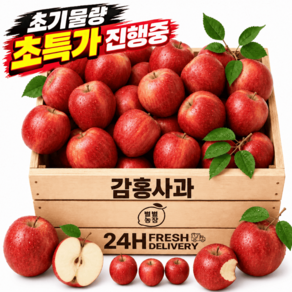 사과 특가진행중 고당도15brix 아삭달달 감홍사과