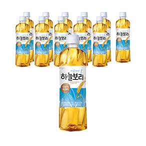 웅진 하늘보리
