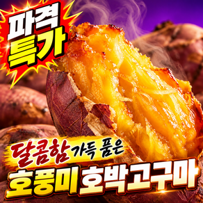 [파격특가] 꿀당도 국내산 호풍미 호박고구마