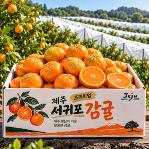 고당도 귤 제주 타이백 감귤