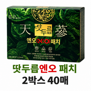 천현수박사 천삼 땃두릅 엔오 패치 근육 관절통증
