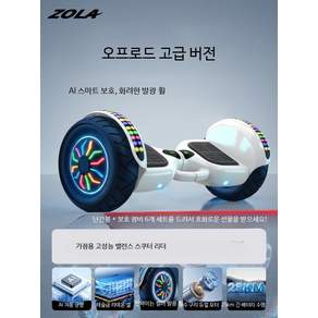 전동 호버보드 카트 두발 전동휠 투휠 레저용