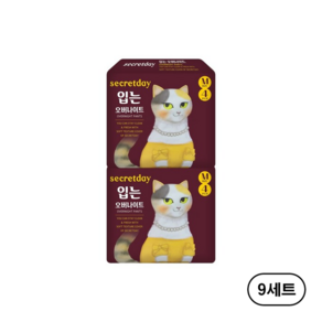 시크릿데이 입는 오버나이트