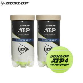 던롭 ATP 챔피언쉽 시합구 2p