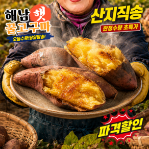 [재구매율1위] 해남 햇 꿀 호박 한입 고구마