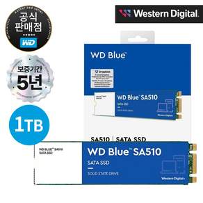 WD Blue SA510 SATA M.2 2280 SSD