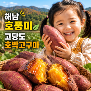 해남 프리미엄 호풍미 호박 고구마