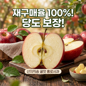 [재오픈 특가] 국내산 당일수확 재오픈 특가할인 고당도 홍로사과