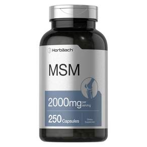 호바흐 MSM 2000mg 캡슐