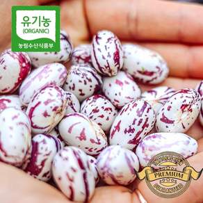 [재구매율이 높은 유기농 인정 호랑이 콩] 강원도 유기농 햇 호랑이 콩 콩줄 고소한 맛 밤맛 나는 이유식