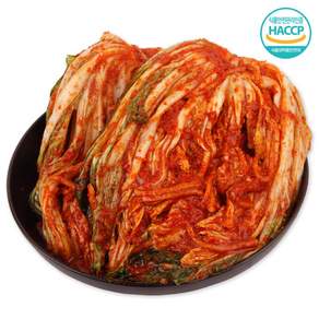 국내산 배추김치 오이소박이 총각김치 열무물김치 13종 1kg