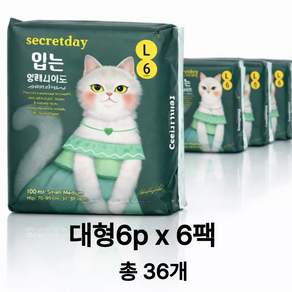 시크릿데이 입는 오버나이트 팬티형