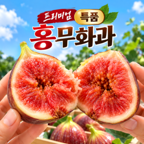 [26년마지막특가] 고당도 영암해남청년농장 생 홍무화과