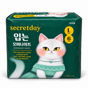 시크릿데이 입는 오버나이트