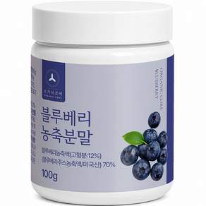 블루베리 농축 분말 100%
