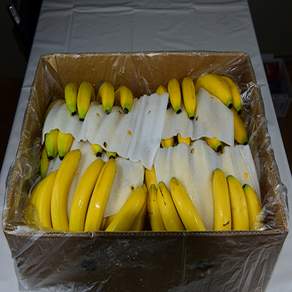 수입 바나나 신선보장 맛보장