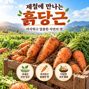 [파격세일] 국내산 못난이 햇당근 흙당근