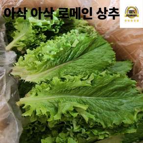 국내산 로메인 상추