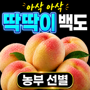 딱딱한 복숭아 딱복 복숭아 딱딱 복숭아 딱딱이 복숭아