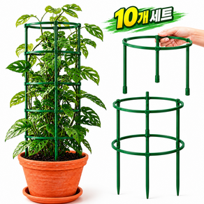 원형 식물 화분 고정 지지대