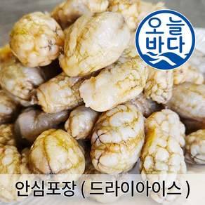 마산 진동 냉동. 생물 오만둥이(최상급) 산지직송 1kg (2개 이상 구매시 오만둥이 300g 증정)