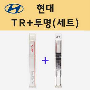 현대 TR 트로피칼레드 주문 붓펜 페인트 + 모비스 투명붓펜 8ml
