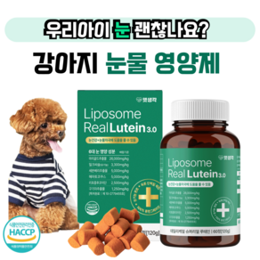 펫생각 강아지 데일리케얼 리얼루테인 영양제