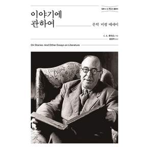 이야기에 관하여:문학 비평 에세이