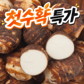 [2026햇토란] 국산 생 토란 알토란