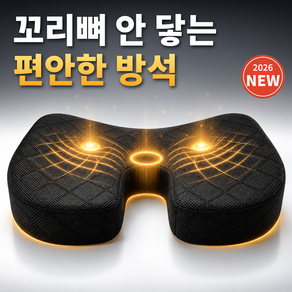 로라쉐 다이아핏 엉덩이 안아픈 방석 의자 쿠션 치질