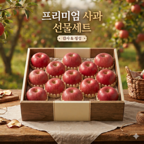 추석 명절 고당도 프리미엄 선물용 사과 선물세트 5kg