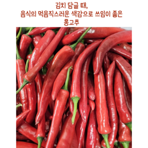 [임가네농산] 국내산 홍고추 빨강고추 빨간고추 김치용 고추 김장 고추 물김치 열무김치 김치종류