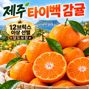 고당도 귤 제주 타이벡 감귤