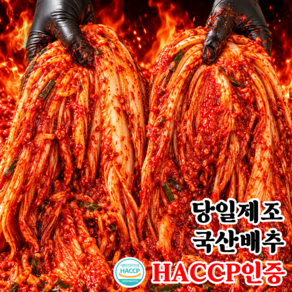 [팔도강산1등] 칼국수맛집 맛있게매운 국산배추 당일제조 실비김치