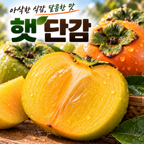[한정특가] 2026 햇 단감 가정용단감 산지직송