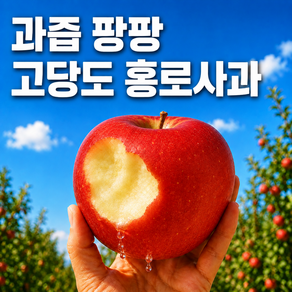 [과즙팡팡] 고당도 햇 홍로사과 대과 산지직송