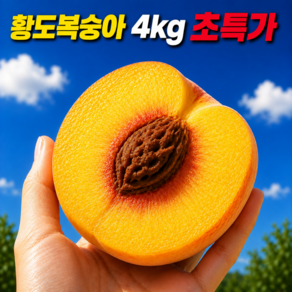 [품절전초특가] 프리미엄 꿀당도 황도 복숭아