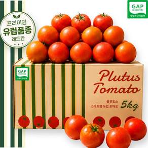 완숙토마토 유럽종토마토 레드칸 풀루토스 GAP인증