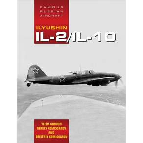 일류신 Il2Il10러시아의 유명한 항공기