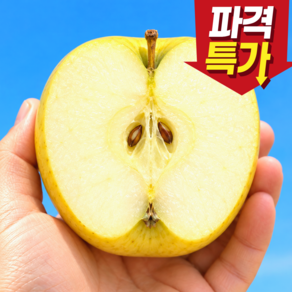 [재구매1위] 프리미엄 고당도 시나노골드 황금사과