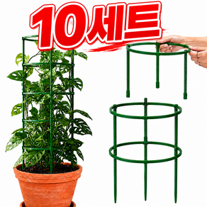 식물 화분 원형 고정 지지대