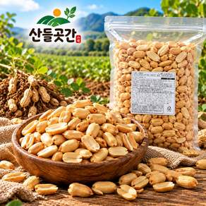 [산들곳간] 2026년 수확한 햇 볶음땅콩 (깐땅콩) 1kg