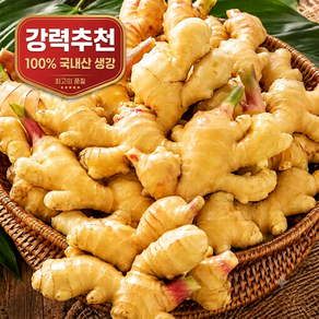 [산지직송]국내산 세척 햇 생강 특품
