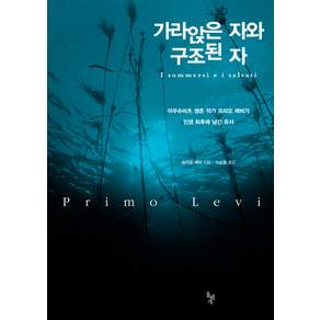 가라앉은 자와 구조된 자